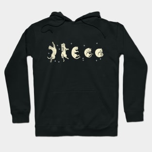 Phases of Cat Moon Hoodie